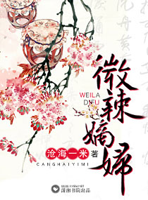 微辣嫡妇封面