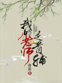 我的老师是首辅封面