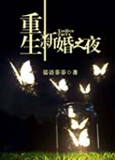 重生新婚之夜封面