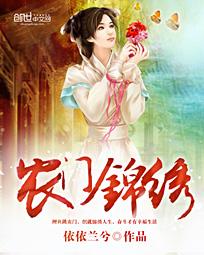 农门锦绣封面