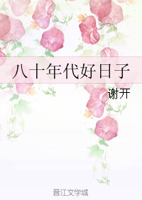 八十年代好日子封面