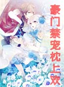 豪门禁宠枕上欢封面