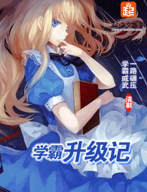 学霸升级记封面