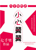 八十年代之小心翼翼封面