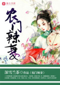 农门辣妻封面