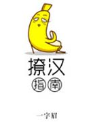 撩汉指南封面