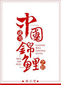 成为中国锦鲤之后封面