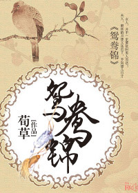 鸳鸯锦封面