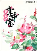 重生之掌中宝封面