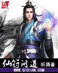 仙符问道封面
