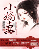 小嫡妻封面