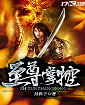 至尊掌控封面