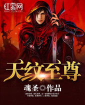 天纹至尊封面